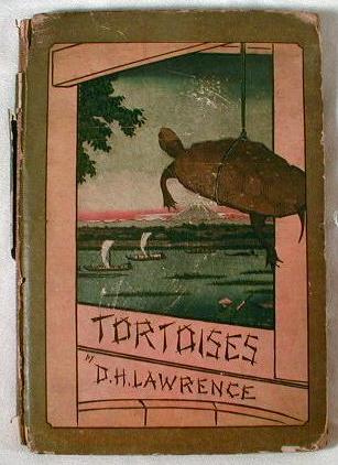 Image for Tortoises