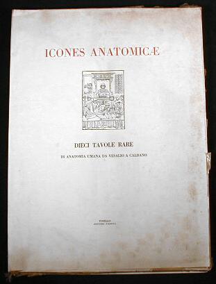Image for Icones Anatomicae - Dieci Tavole Rare Di Anatomia Umana Da Vesalio a Caldano