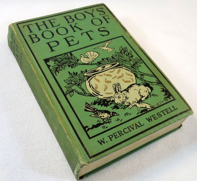 Image for The Boys' Book of Pets