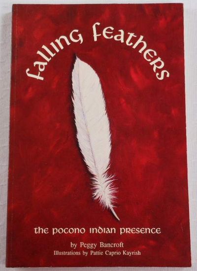 Image for Falling Feather: The Pocono Indian Presence